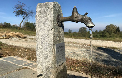 Azienda Agricola La Maurina